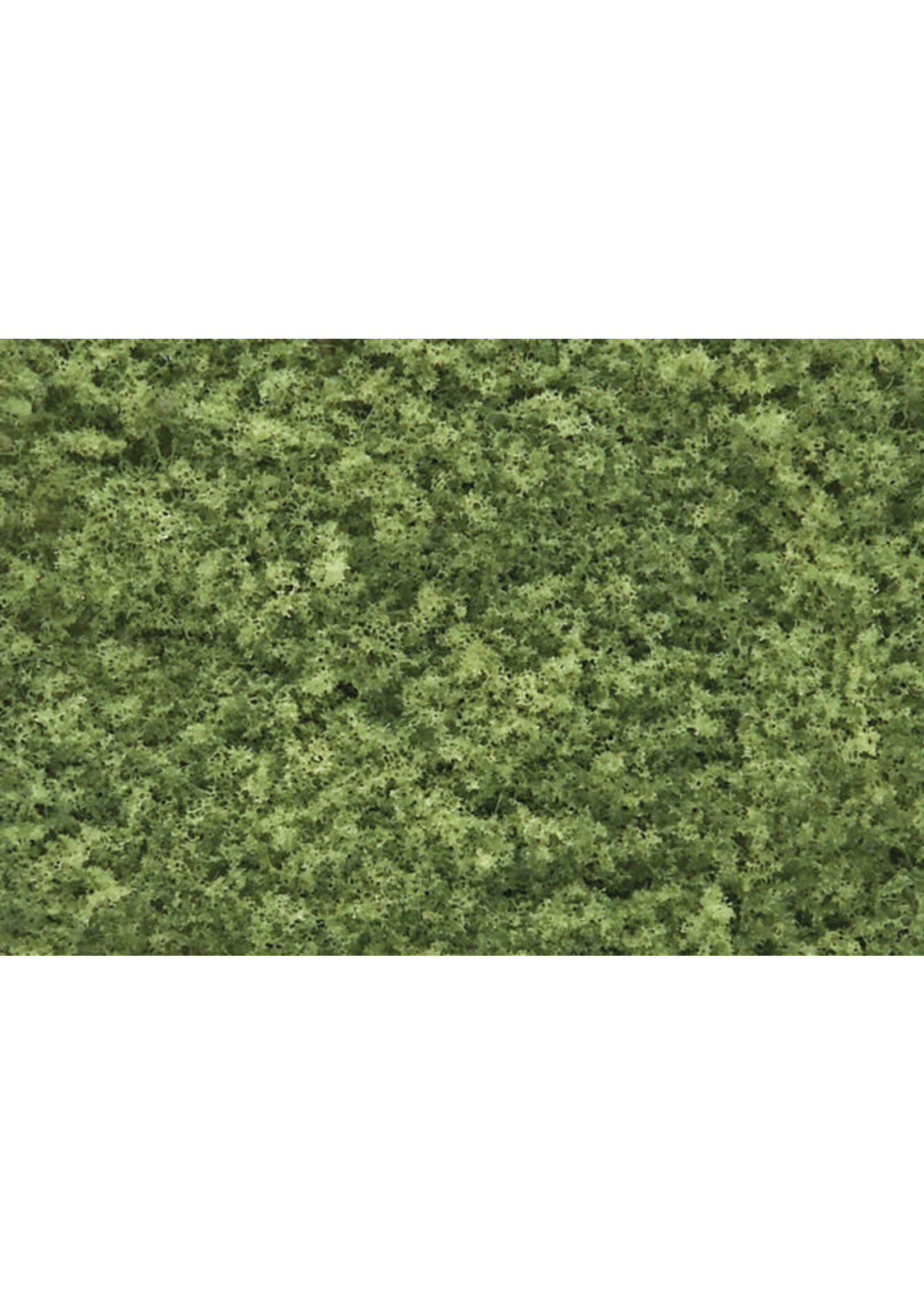 Woodland Scenics WOO51 Foliage Net Light Green