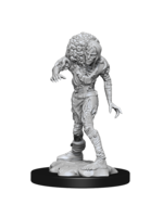 WizKids WK90242 Drowned Assassin & Asetic D&D WV14