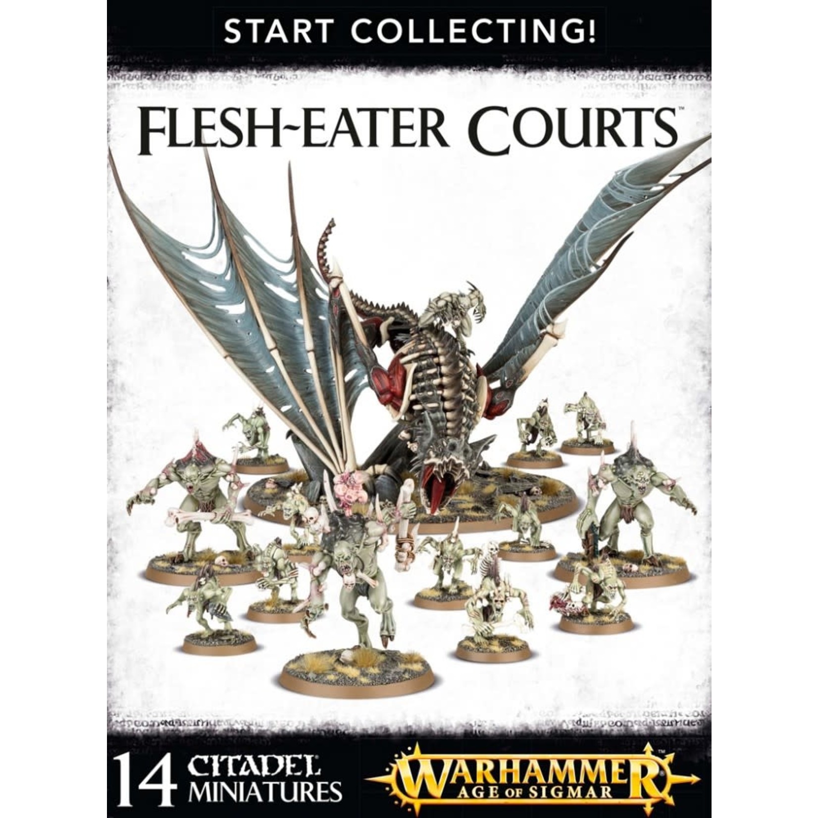Vampire Counts Start Collecting! Flesh-Eater Courts