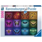 Ravensburger RAV12000554 Winged Things (Puzzle1000)