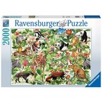 Ravensburger RAV16824 Jungle (Puzzle2000)