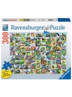 Ravensburger RAV16937 99 Delightful Birds (Puzzle300)