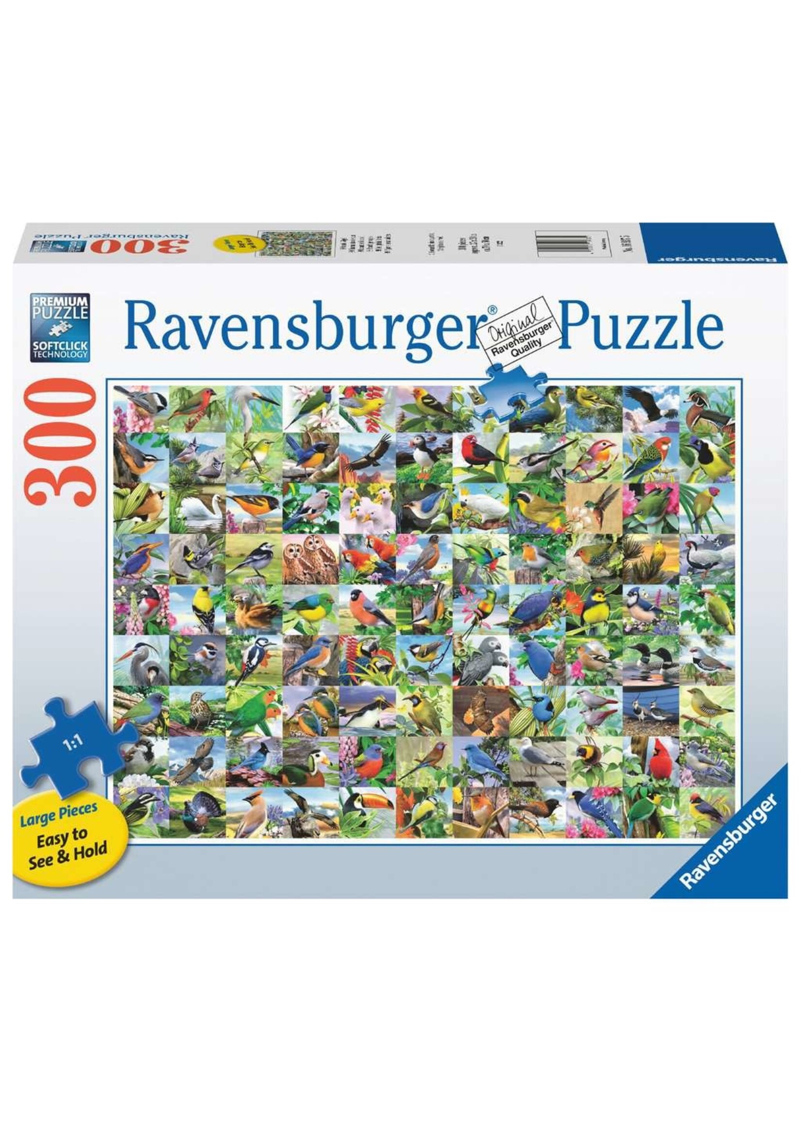 Ravensburger RAV16937 99 Delightful Birds (Puzzle300)