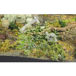 Matho Models MAT35036 Plants & Weeds B (1/35)