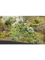 Matho Models ***zMAT35036 Plants & Weeds B (1/35)