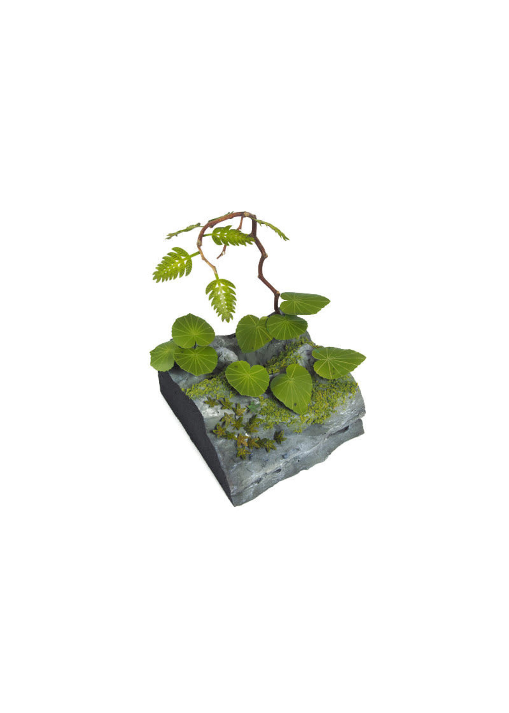 Matho Models Matho 1/35 Jungle Plants C