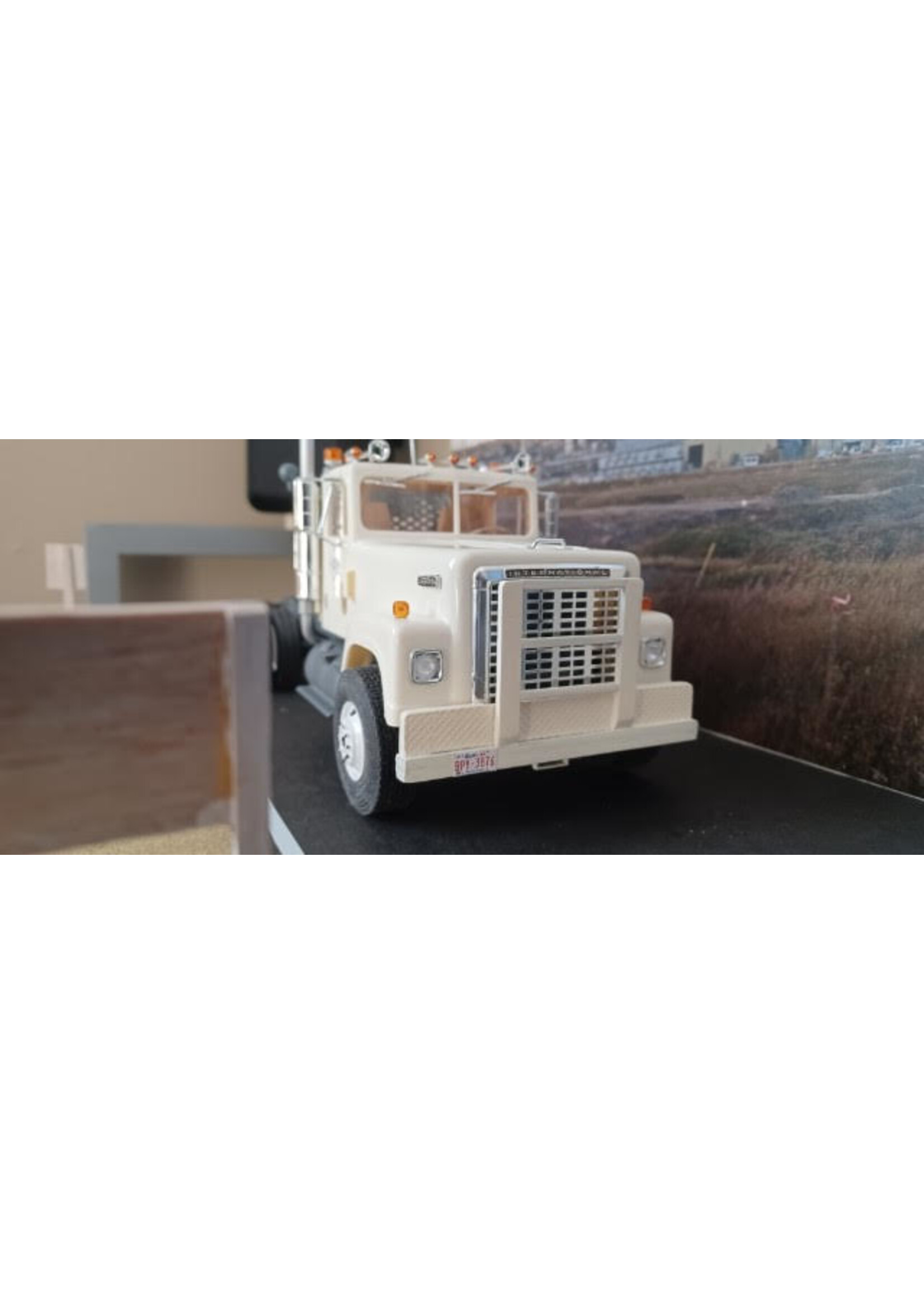 IHC 4300 Truck - by Rob Berreth