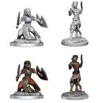 WizKids WK90407 DND Shifter Fighter WV20