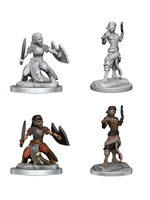 WizKids WK90407 DND Shifter Fighter WV20