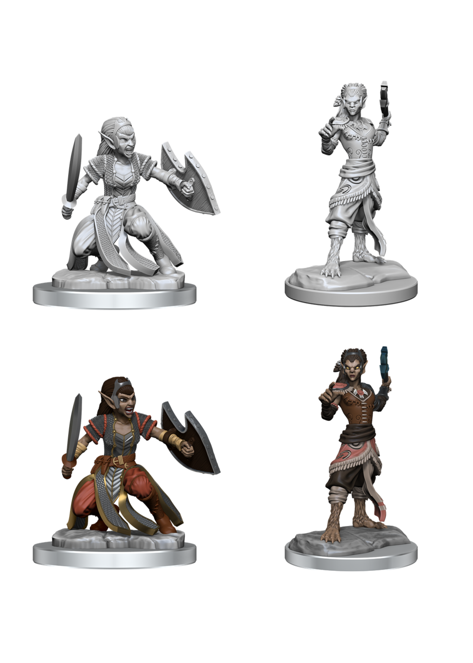 WizKids WK90407 DND Shifter Fighter WV20