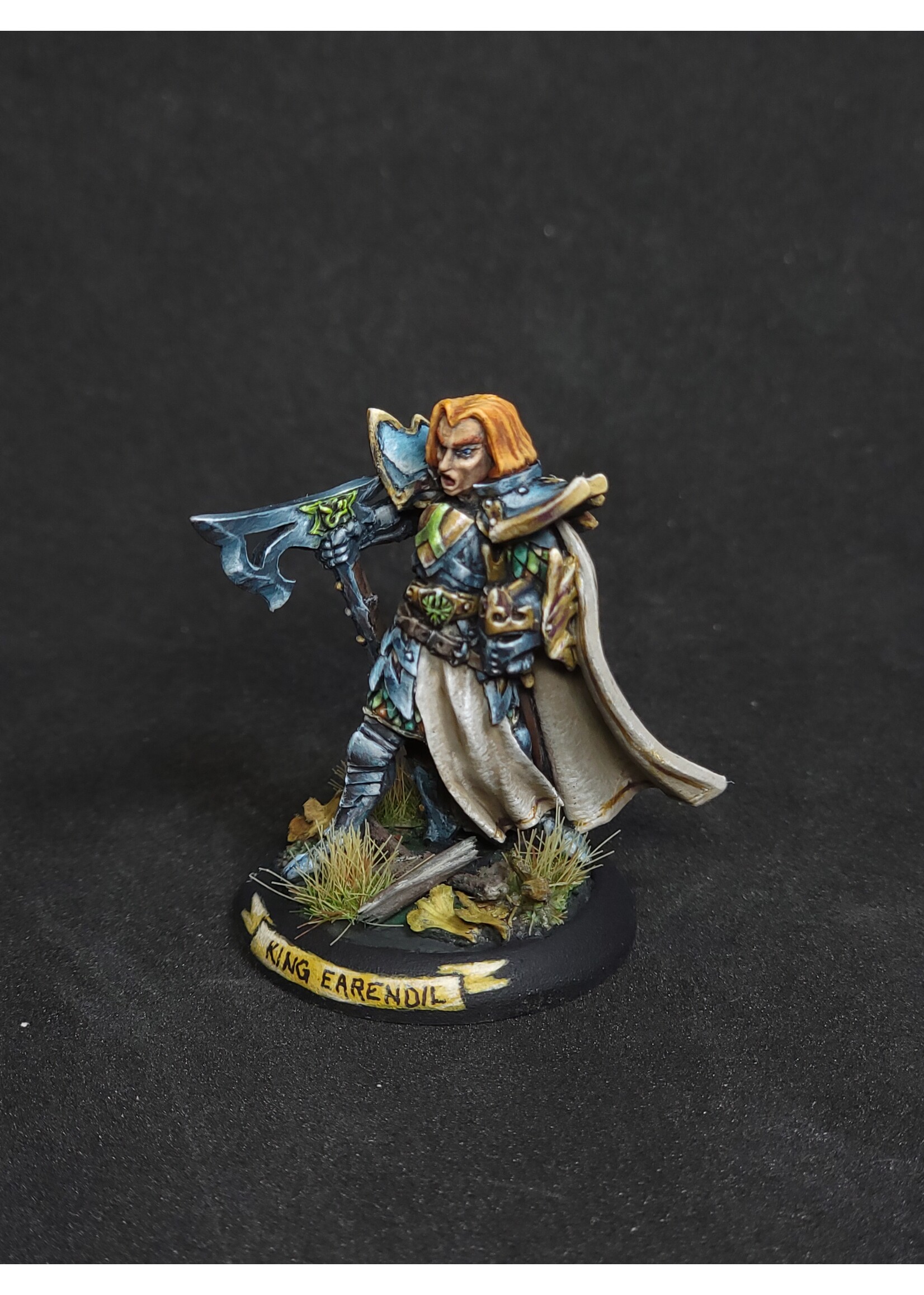 High Elf King - by Glyn Evans