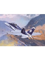 Academy ACA12422 F/A 18D Hornet (1/72)