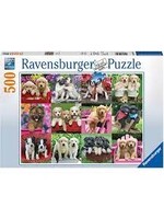 Ravensburger RAV12000196 Puppy Pals (Puzzle500)