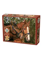 Cobble Hill CH48017 Friends Forever (Puzzle275)