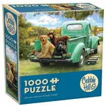 Cobble Hill CH57258 Lets Go Fishing (Puzzle1000)