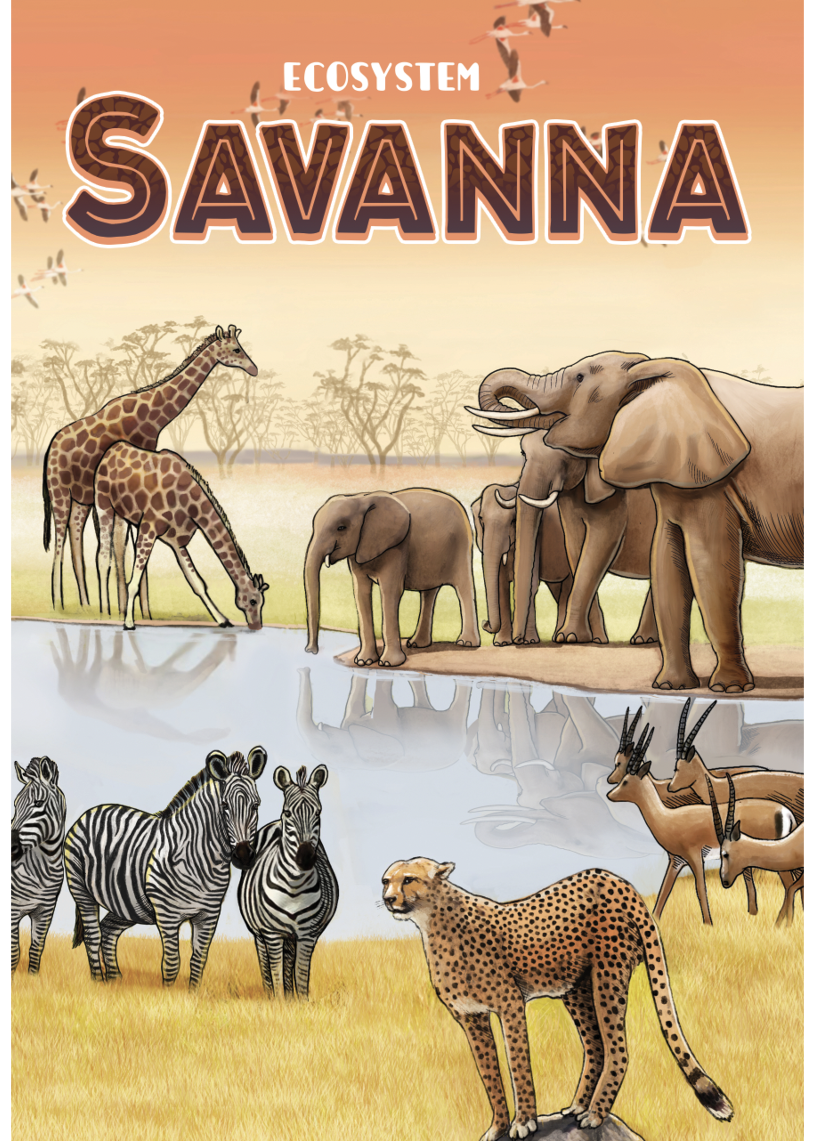 Ecosystem Savanna