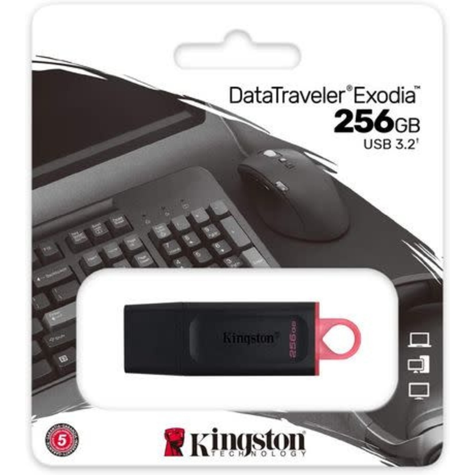 Kingston Kingston 256GB USB3 DataTraveller Exodia