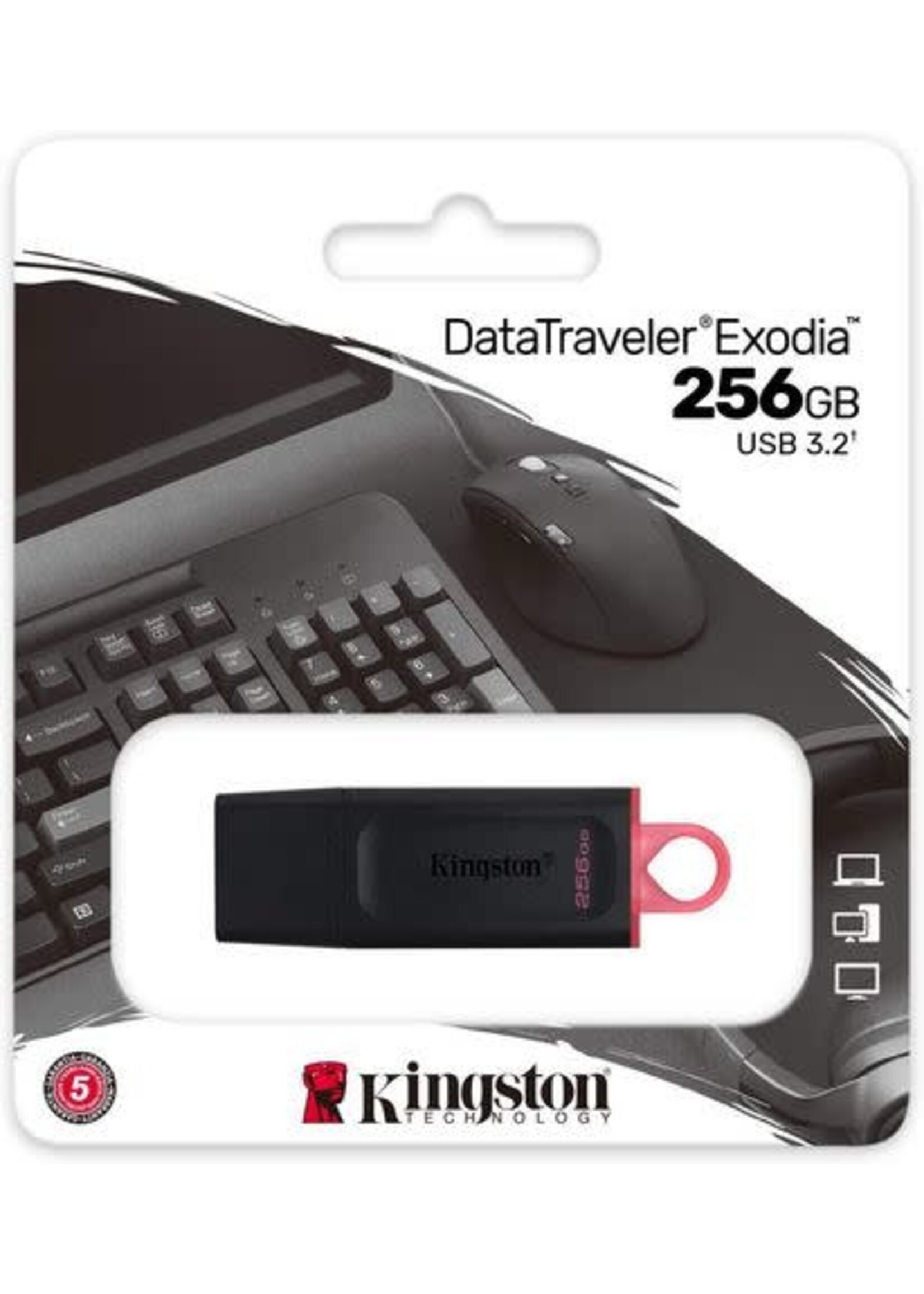 Kingston Kingston 256GB USB3 DataTraveller Exodia