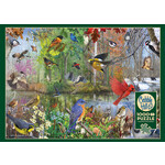 Cobble Hill CH40163 Birds Of The Season (Puzzle1000)