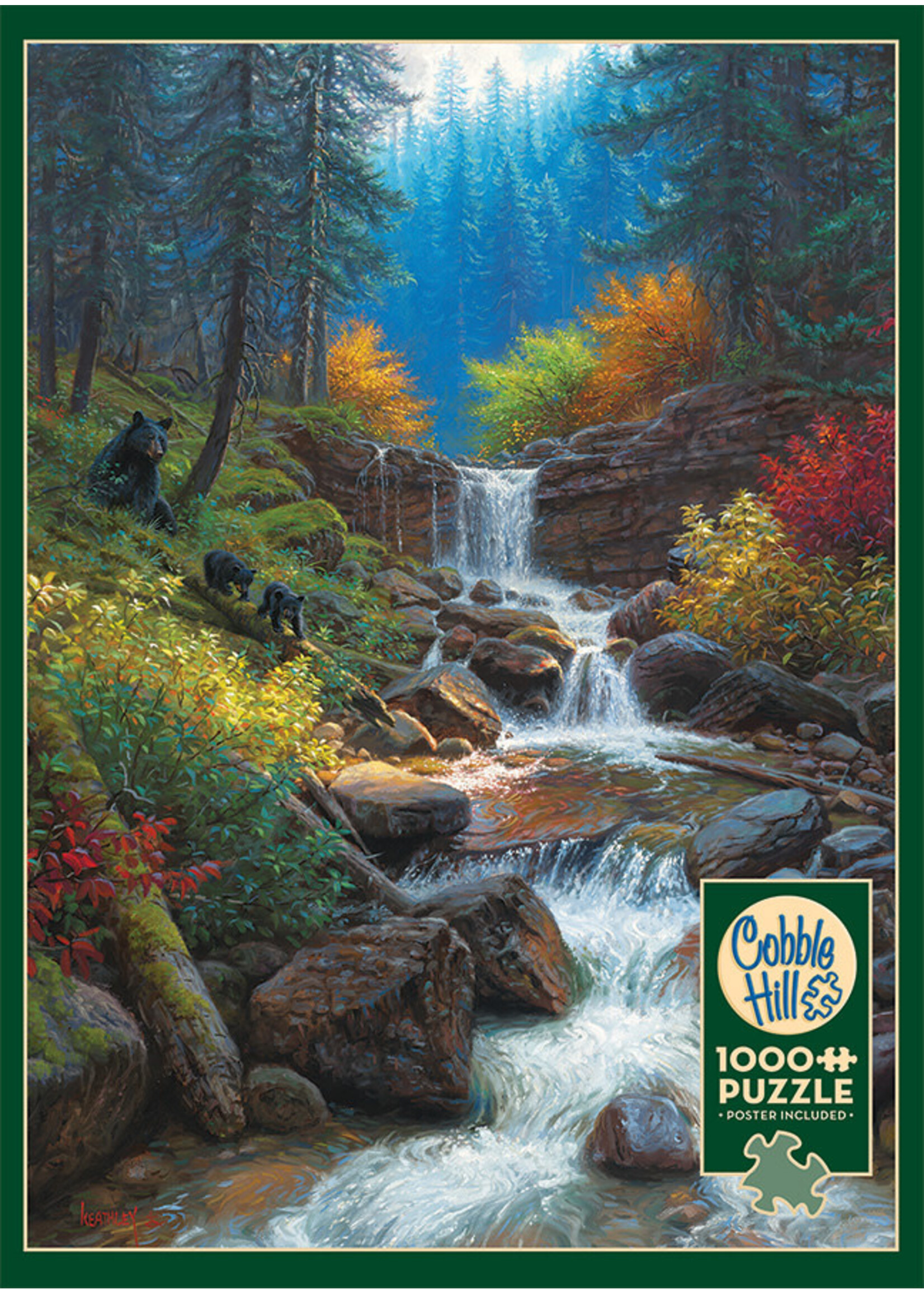 Cobble Hill CH40193 Mountain Cascade (Puzzle1000)