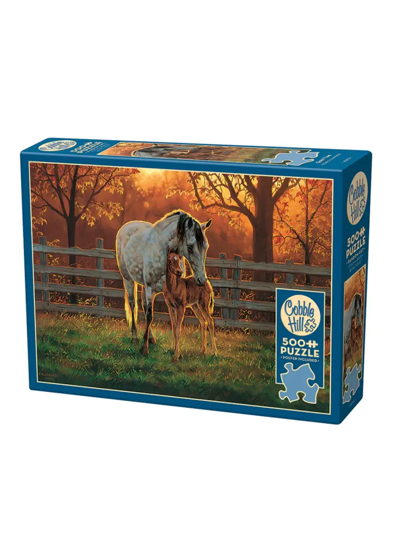Cobble Hill CH45002 Quiet Time (Puzzle500)