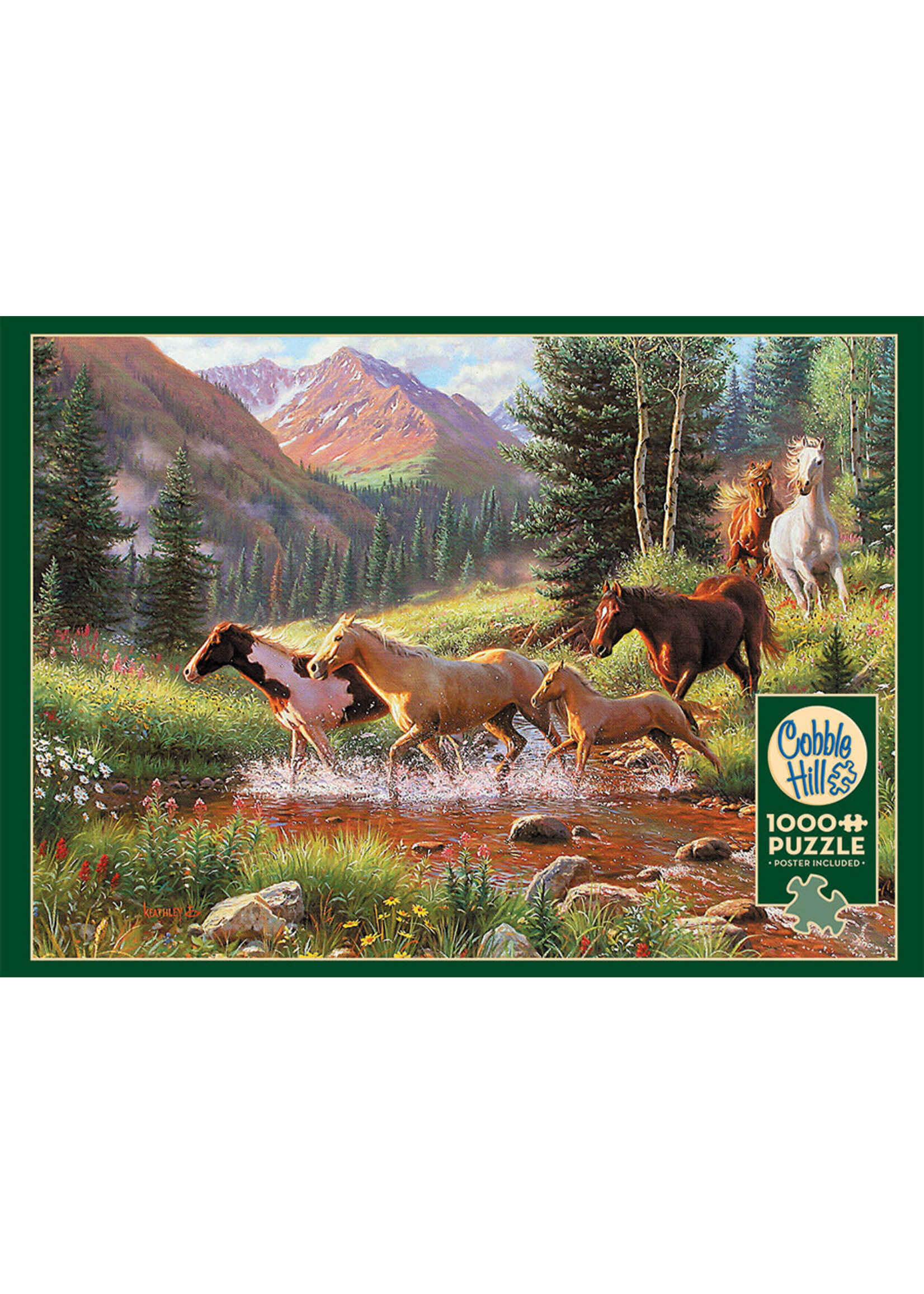Cobble Hill CH40168 Mountain Thunder (Puzzle1000)