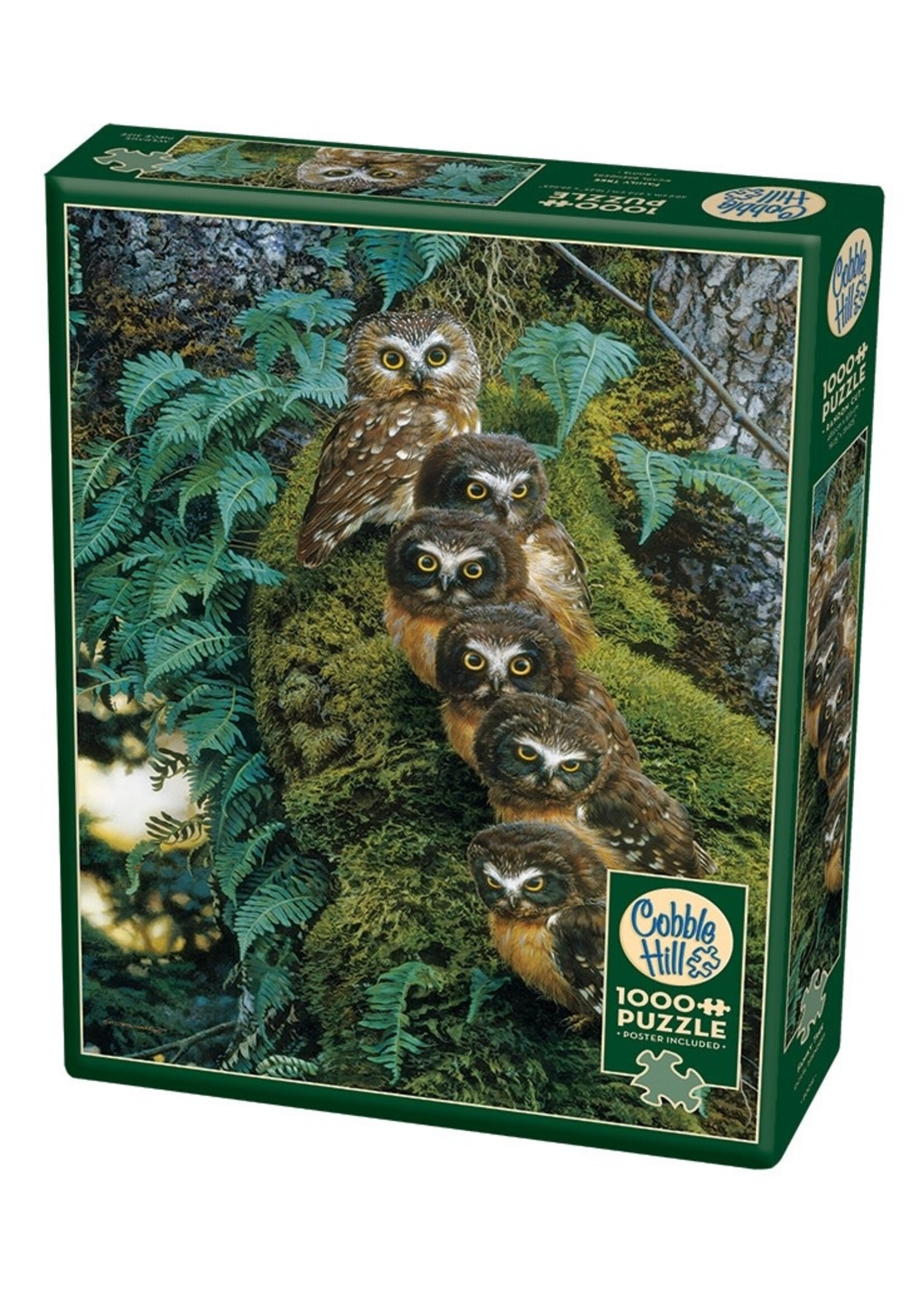 Cobble Hill CH40170 Family Tree (Puzzle1000)