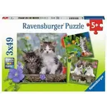Ravensburger RAV08046 Cuddly Kittens (Puzzle3x49)