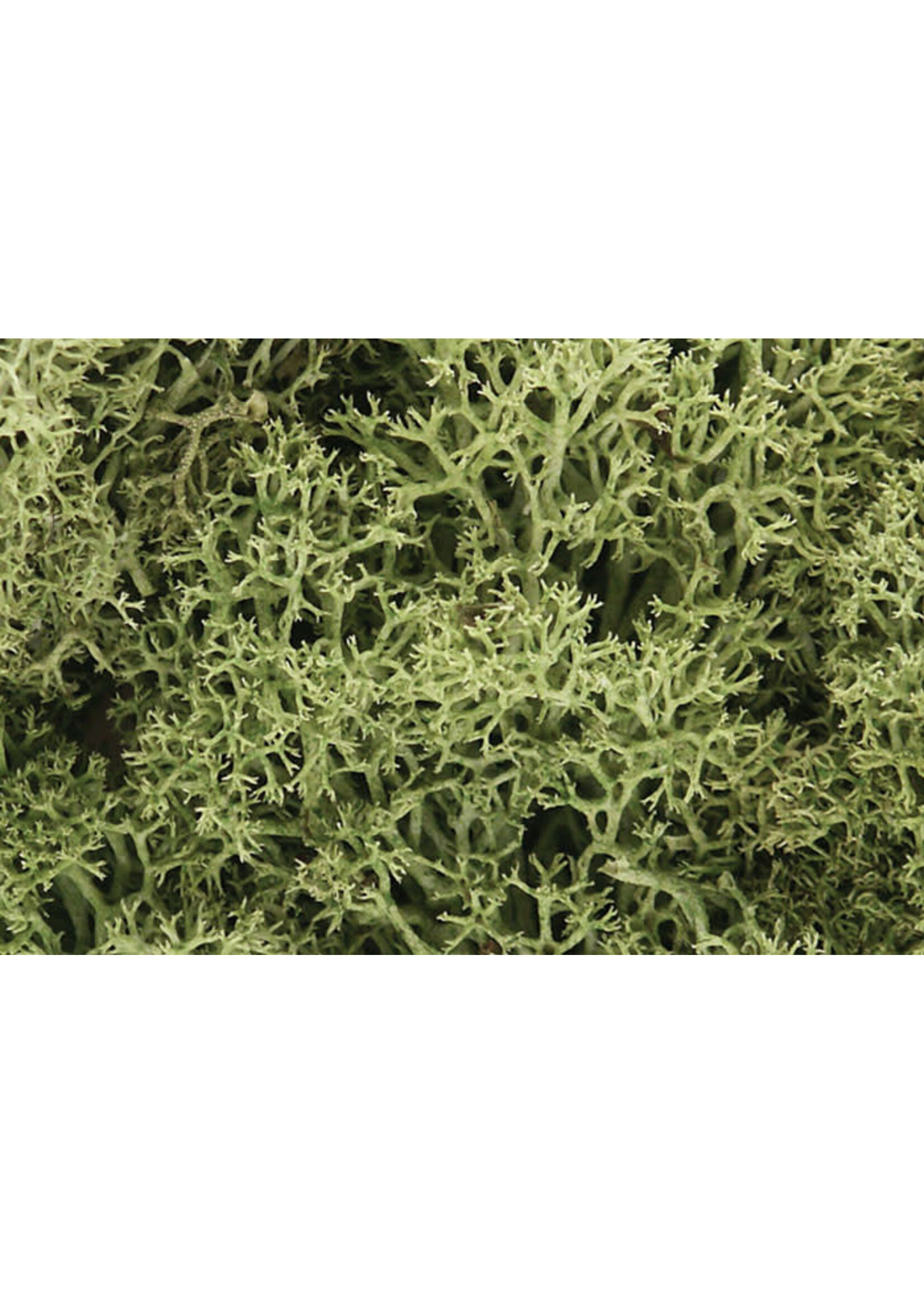 Woodland Scenics WOO161 Lichen Spring Green