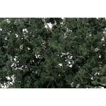 Woodland Scenics WOO1130 Fine Leaf Dark Green