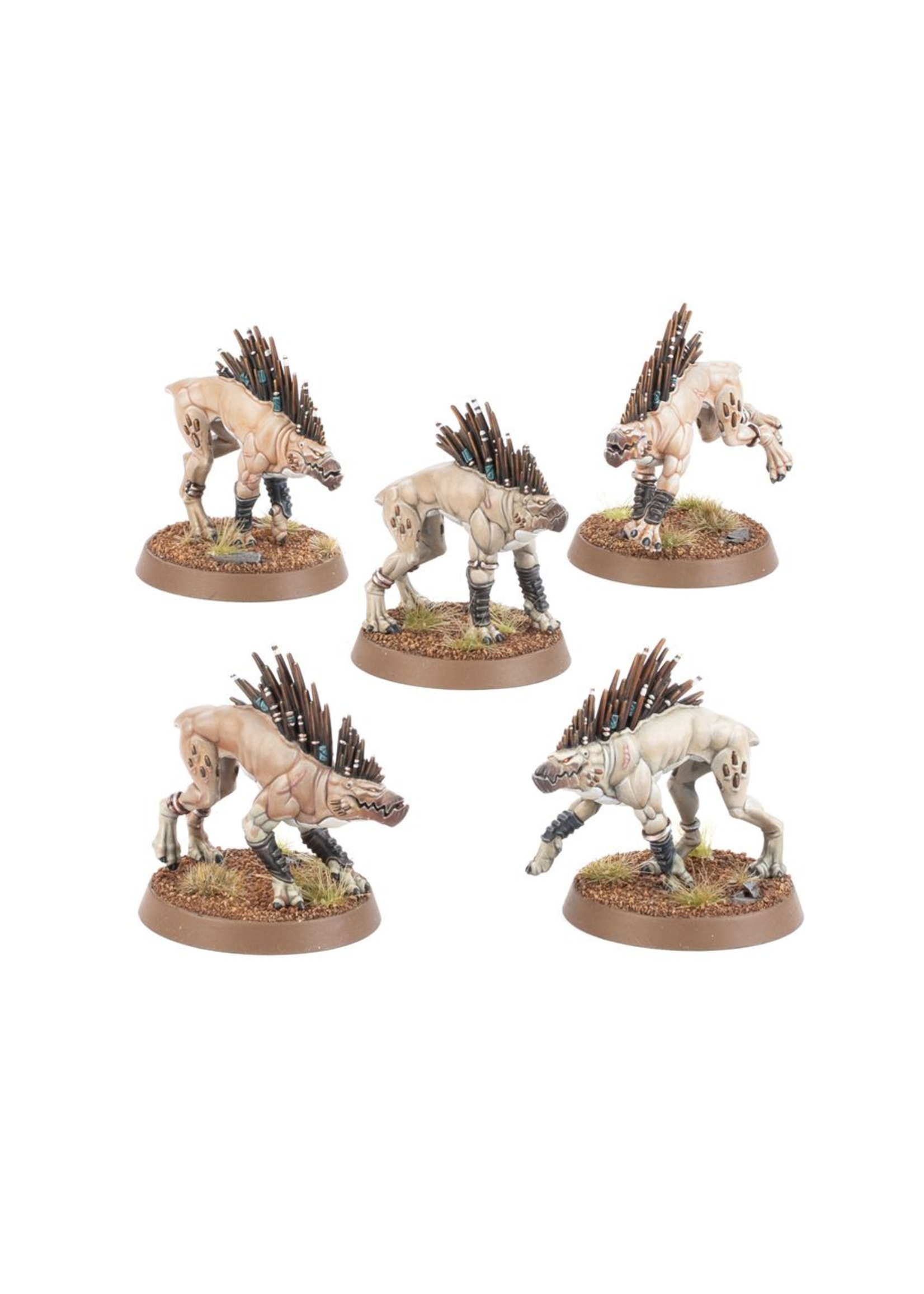 WH40K T'Au Empire Kroot Hounds