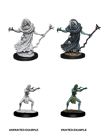 WizKids WK90072 Sea Hag & Bheur Hag D&D WV12