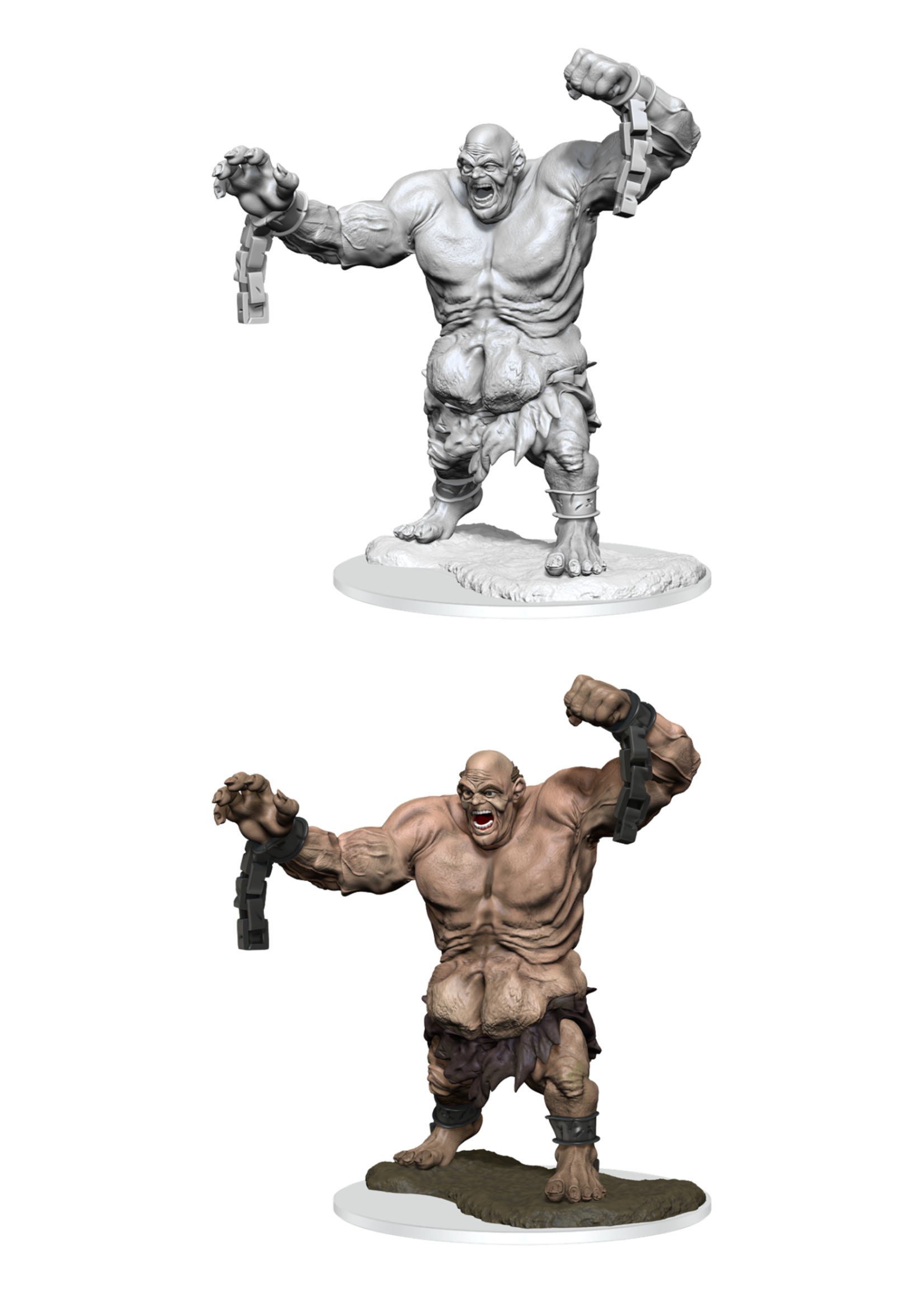 WizKids WK90434 Mouth of Grolantor D&D WV16