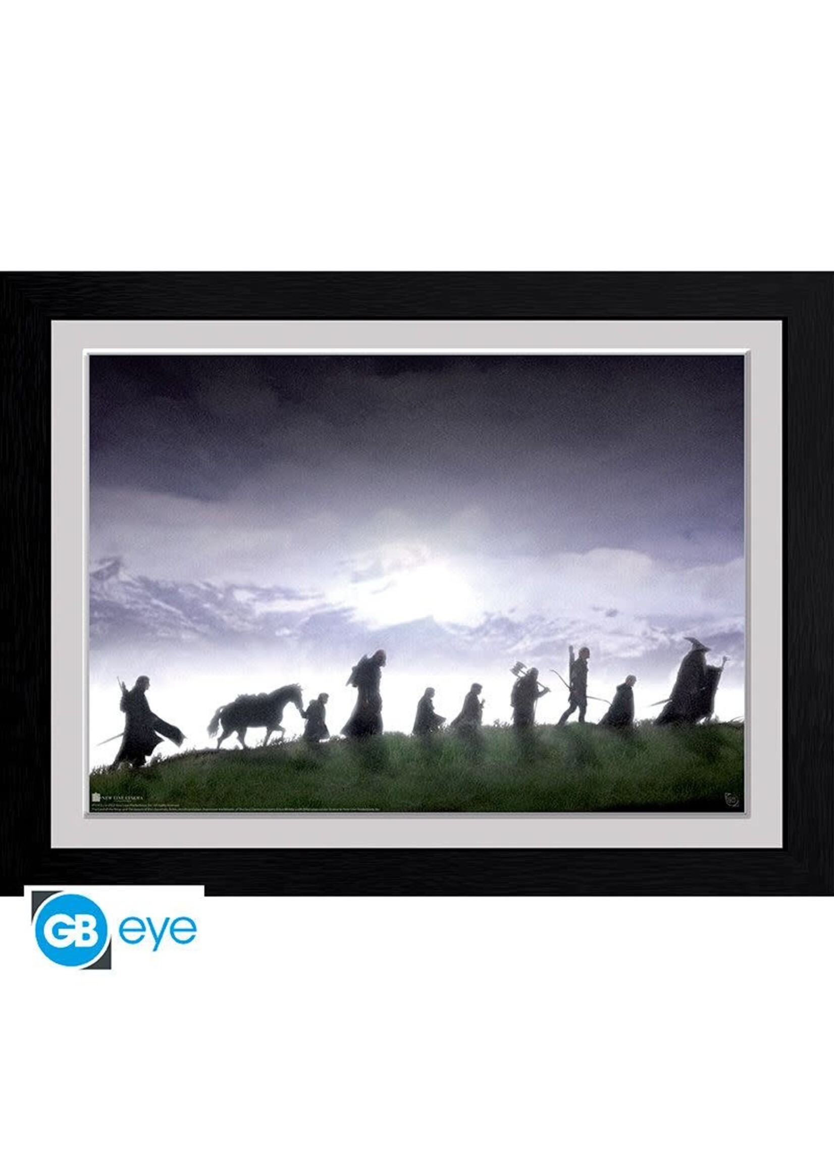 Abysse Lord of the RIngs Fellowship Framed Print
