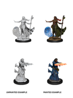 WizKids WK90012 Human (F) Wizard (D&D) WV11