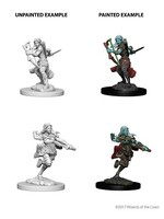 WizKids WK73204 Air Genasi Female Rogue D&D WV4