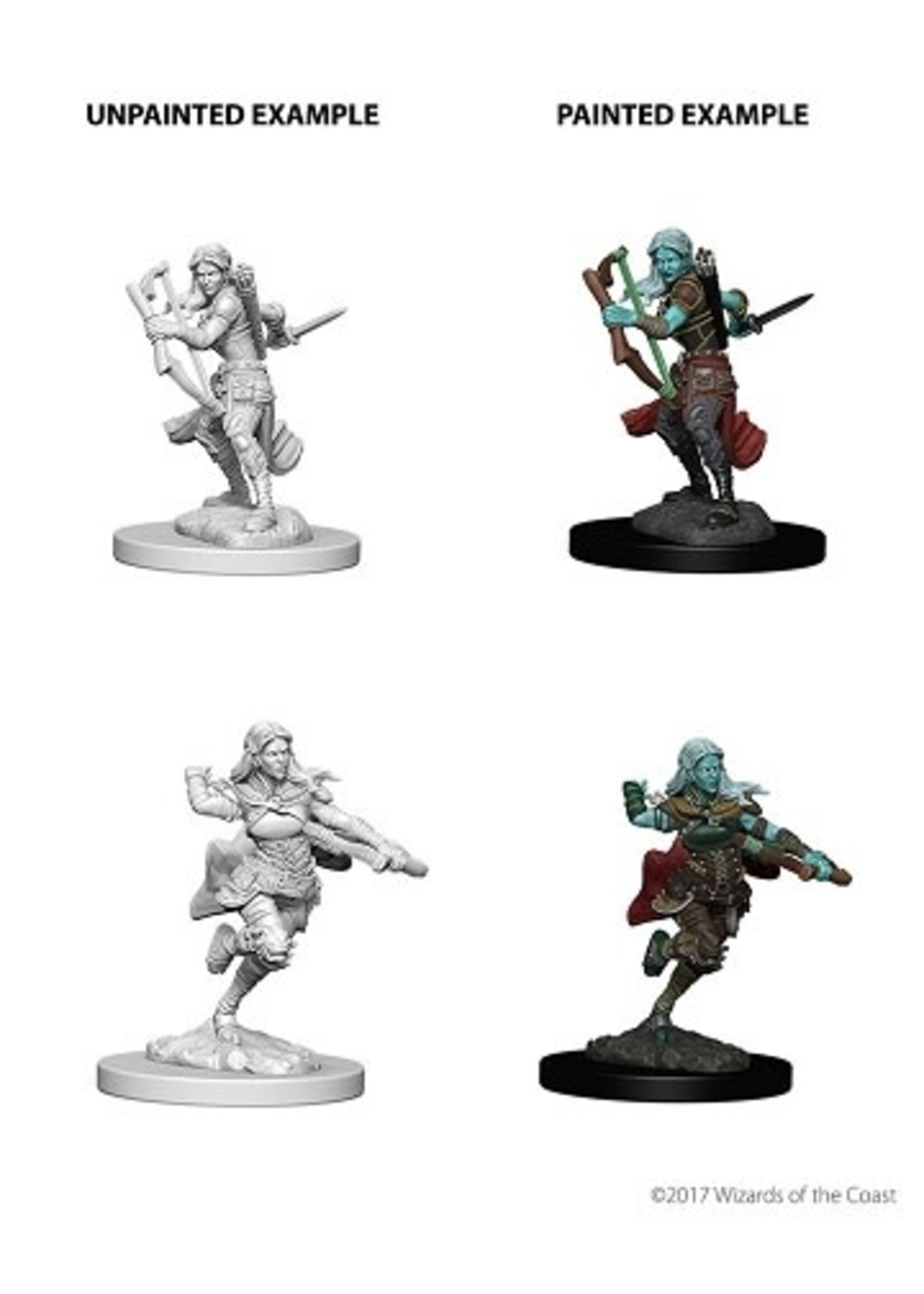 WizKids WK73204 Air Genasi Female Rogue D&D WV4