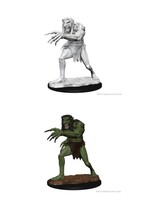 WizKids WK90190 Troll D&D WV1