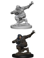 WizKids WK72602 Human Male Rogue PF WV1