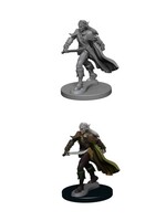 WizKids WK72598 Elf Male Fighter PF WV1