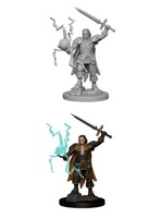 WizKids WK72600 Human Male Cleric PF WV1