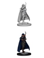 WizKids WK72603 Human Female Rogue PF WV1