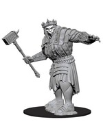 WizKids WK73579 Fire Giant D&D WV7