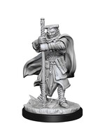 WizKids WK90159 DND Hobgoblin Devastator WV13