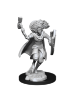 WizKids WK90237 Changeling Cleric Male D&D WV14