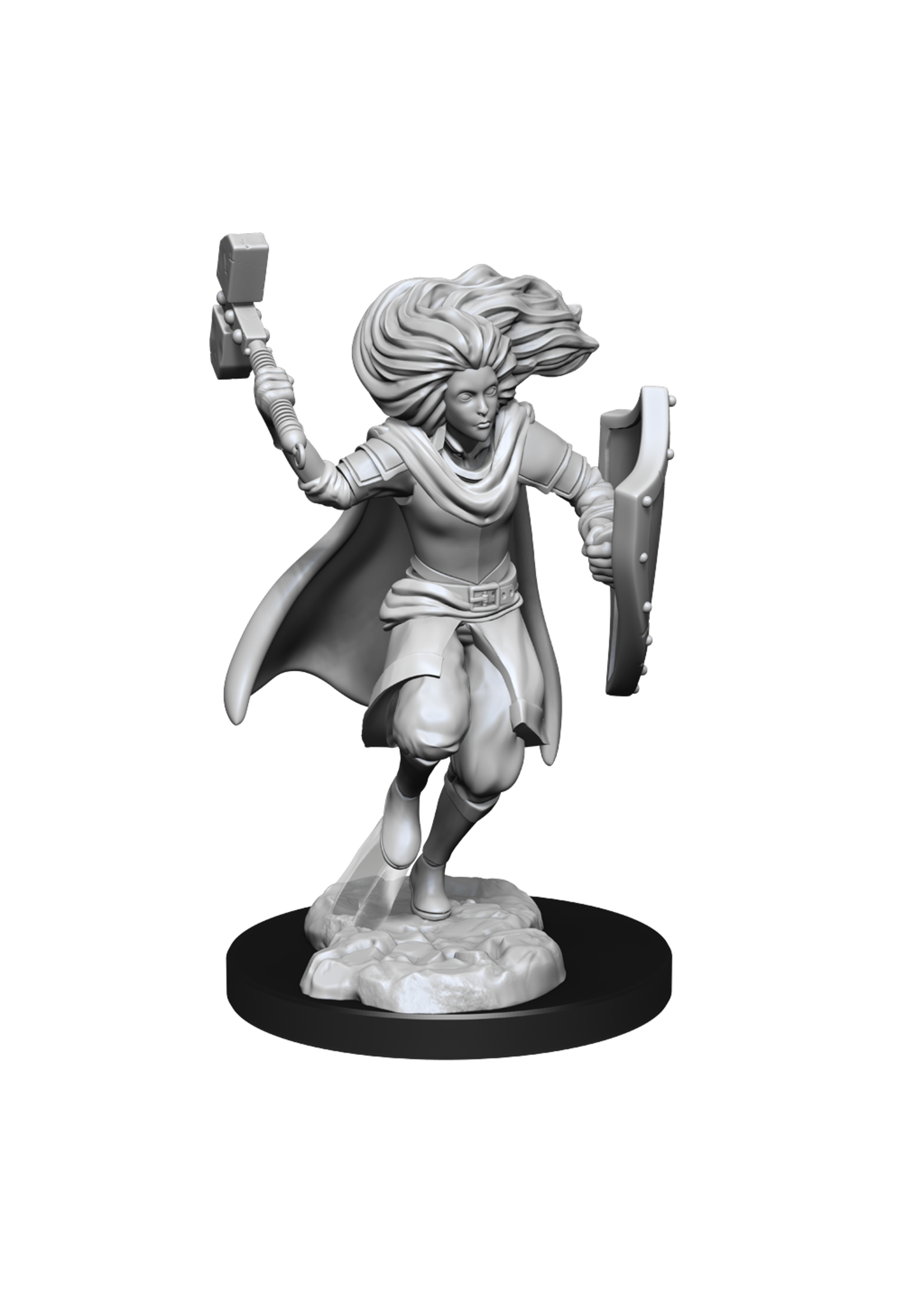 WizKids WK90237 Changeling Cleric Male D&D WV14