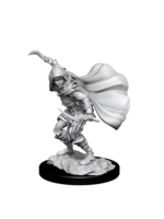 WizKids WK90269 Human Rogue Female PF WV14