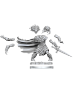 WizKids DND Frameworks Wight