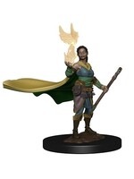 WizKids WK73821 DND Premium Elf Female Druid