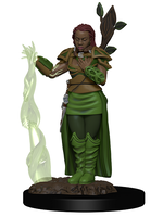 WizKids WK93009 DND Premium Human Female Druid